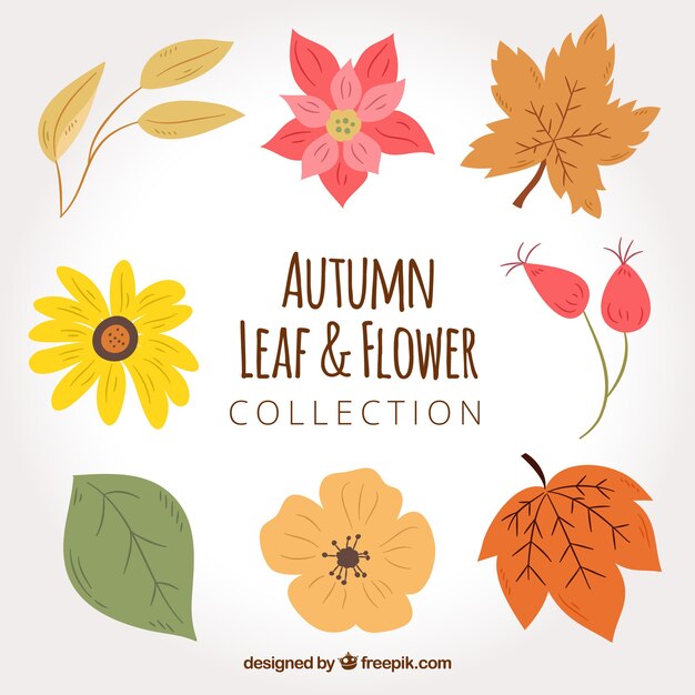 Пакет рисованных цветов и высушенных листьев