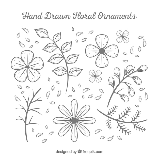 Pack of hand drawn flowers and leaves