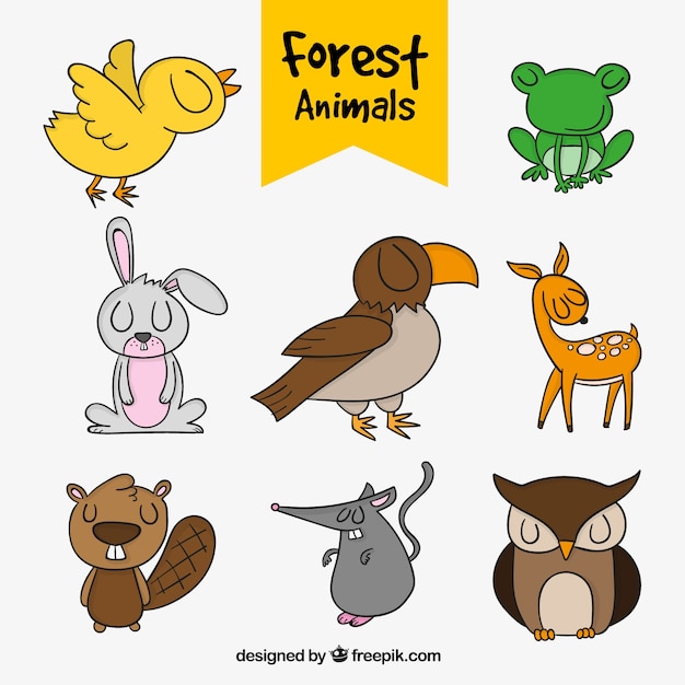 Confezione di animali della foresta disegnati a mano