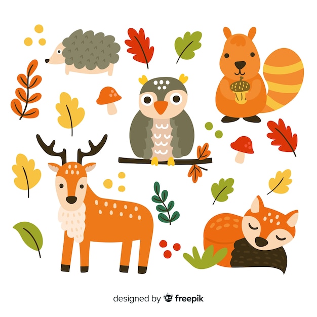 Vettore gratuito confezione di animali della foresta disegnati a mano