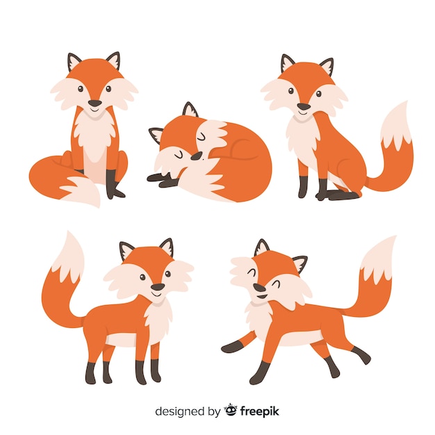 Pack of hand drawn foxes