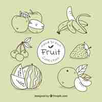 Free vector pack of hand-drawn fruits