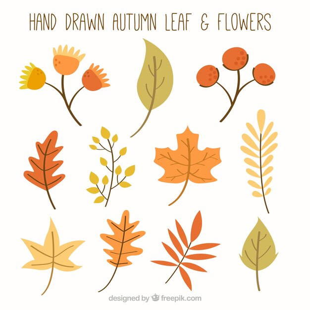 Пакет рисованной листьев и цветов
