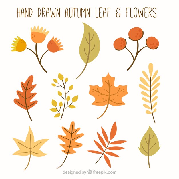 Pack of hand-drawn leaves and flowers