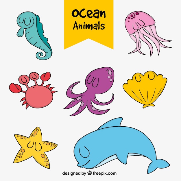 Pack of hand drawn marine animals