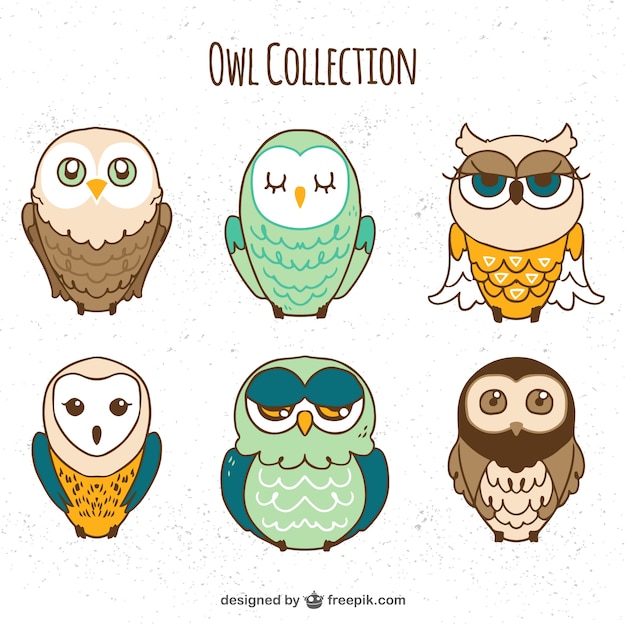 Free vector pack of hand drawn owls