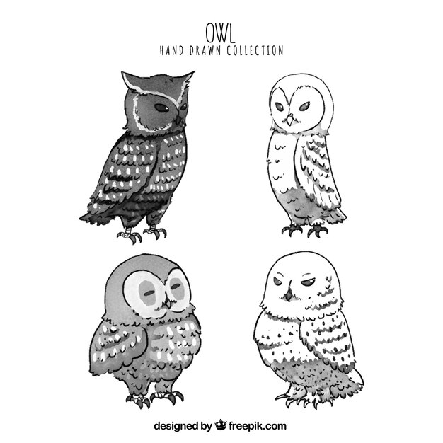 Pack of hand drawn owls