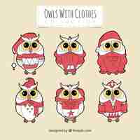 Free vector pack of hand drawn owls