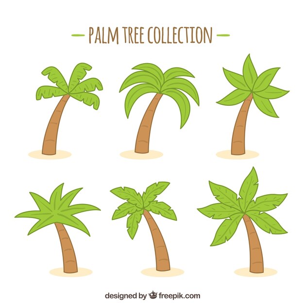 Free Vector | Hand drawn palm tree background