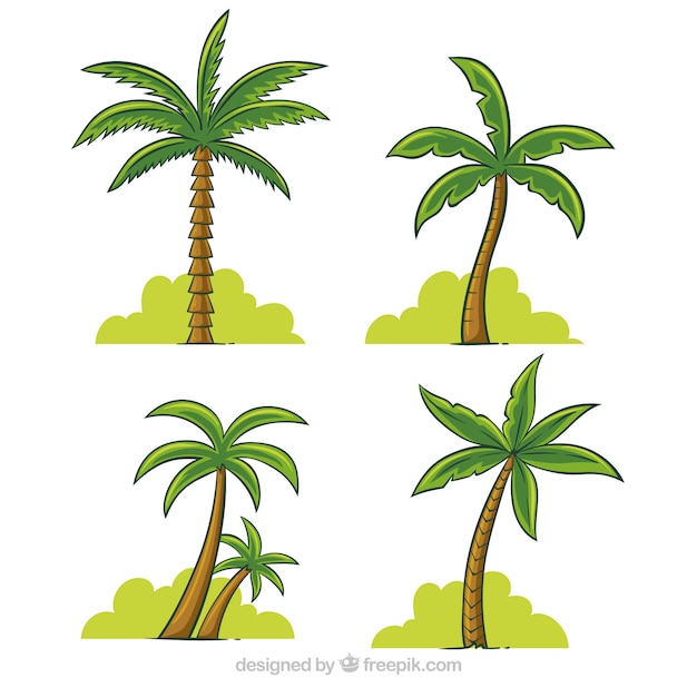 Pack of hand-drawn palm trees