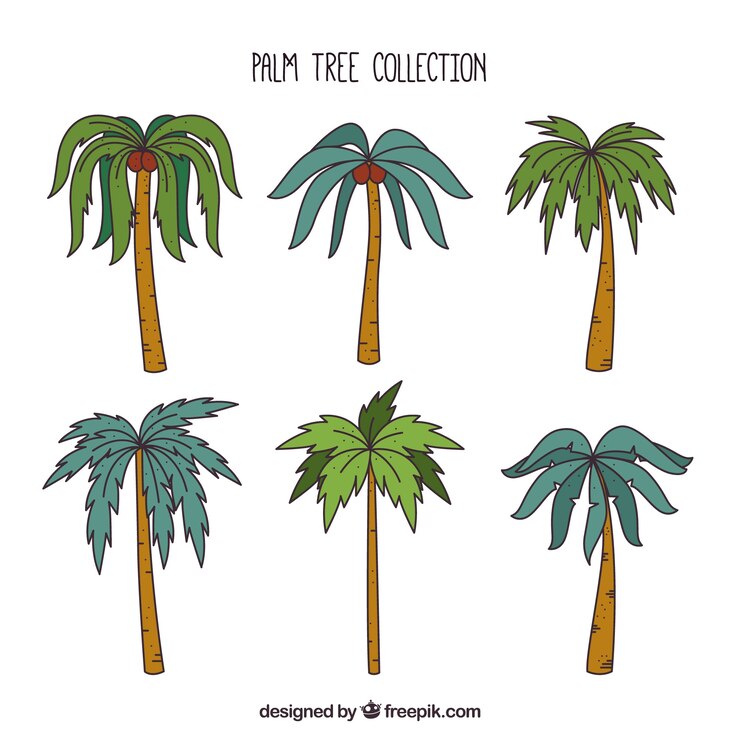 Free Vector pack of hand-drawn palm trees