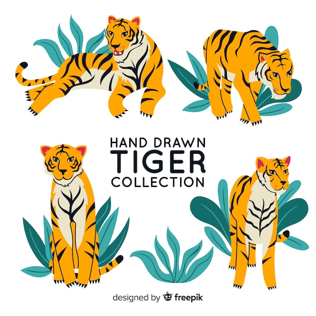 Free vector pack of hand drawn tigers