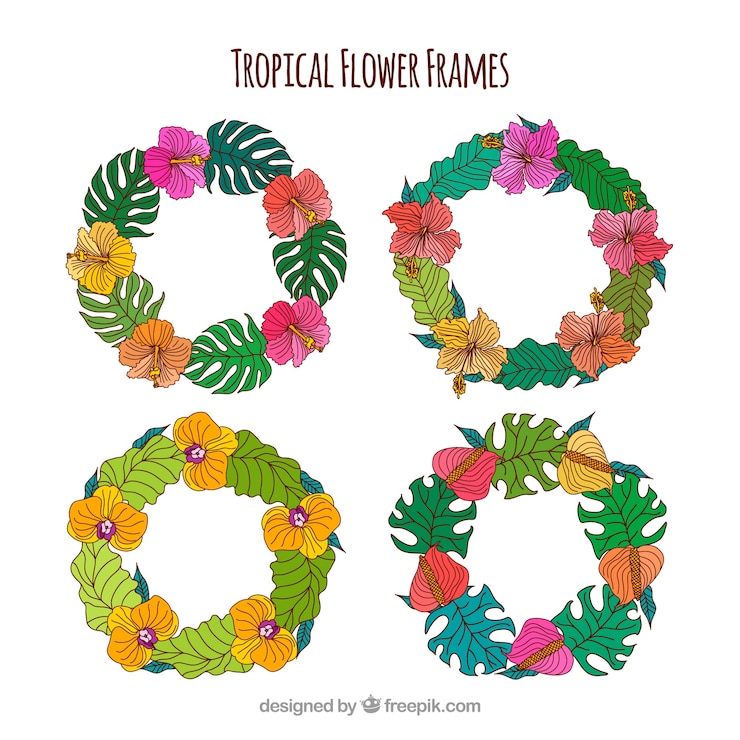 Free Vector pack of hand-drawn tropical floral wreath