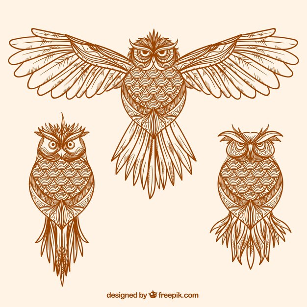 Pack of hand drawn vintage owls