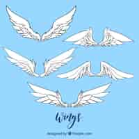 Free vector pack of hand drawn wings