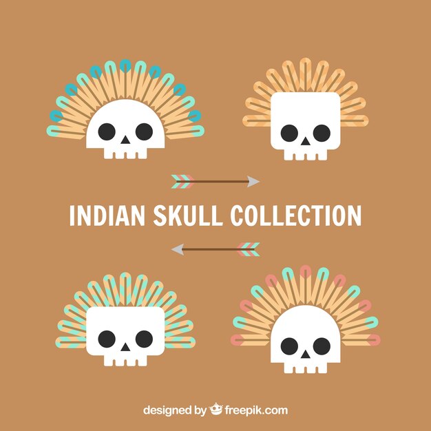 Pack of indian skulls in flat design