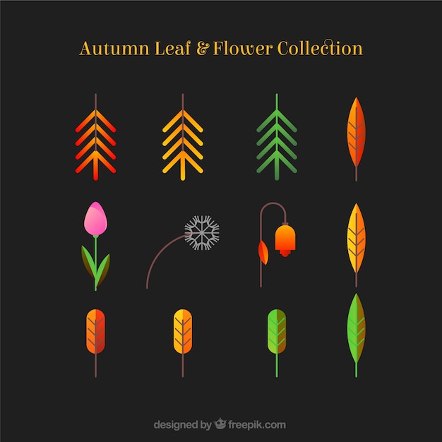 Free vector pack of leaves and flowers in flat autumn design