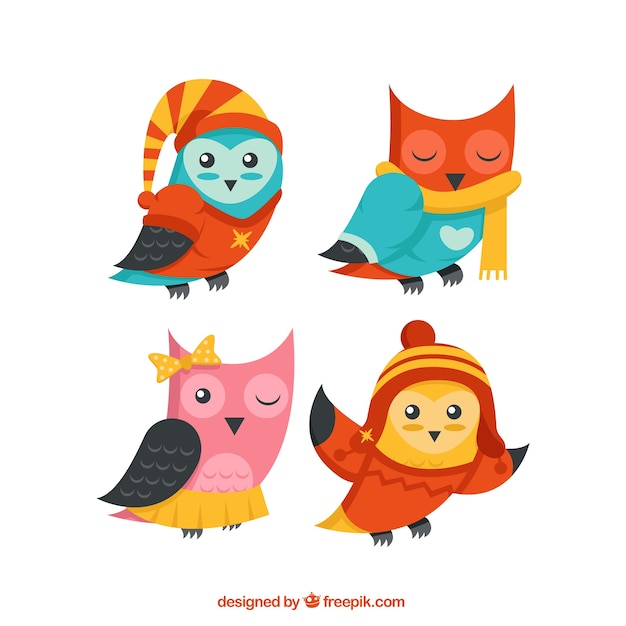 Pack of lovely colorful owls