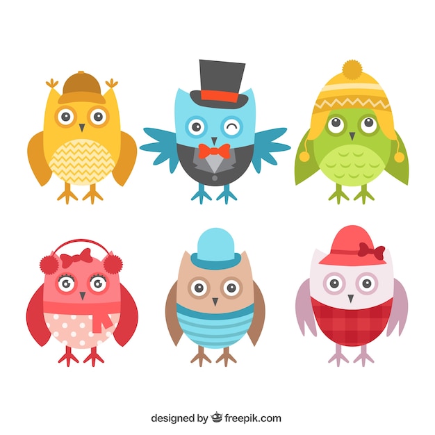 Pack of nice owls in flat design