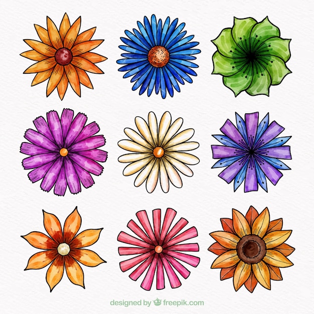 9つの花のパック