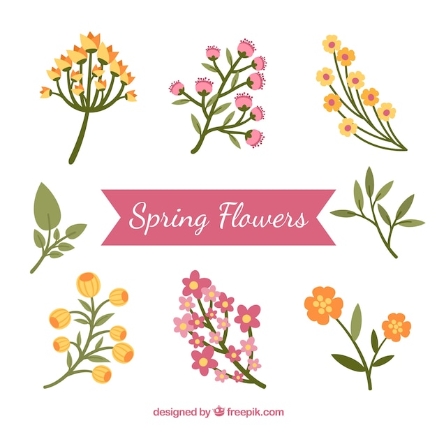 無料ベクター 異なる春の花のパック