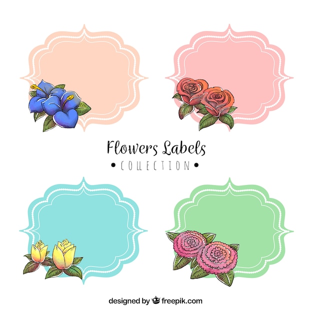 Бесплатное векторное изображение Пакет из четырех цветных цветочных ярлыков