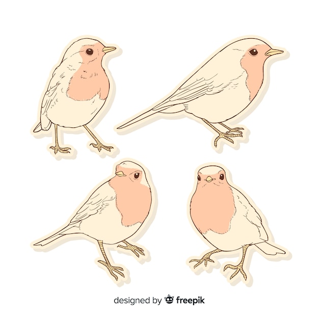 手描きの鳥のパック