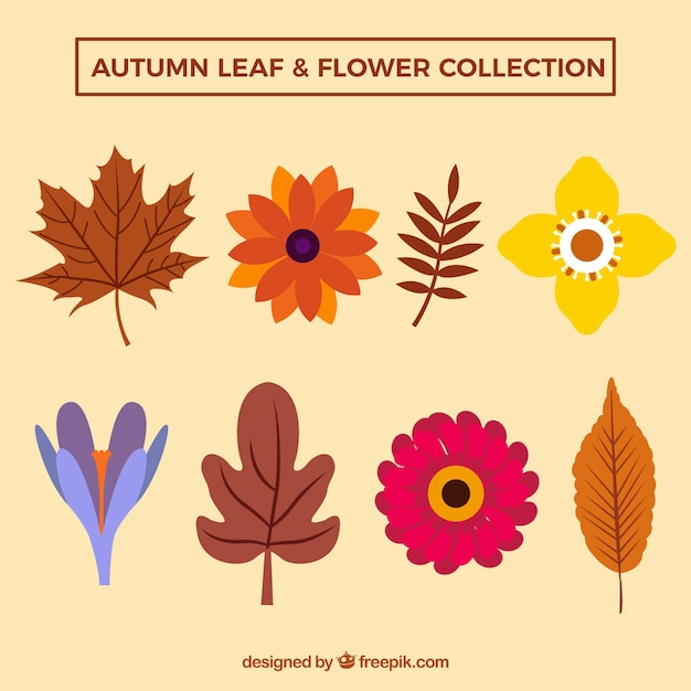 Бесплатное векторное изображение Упаковка из листьев и цветов в плоском стиле