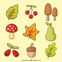 Бесплатное векторное изображение Пакет листьев и других рисованных природных элементов
