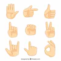 Бесплатное векторное изображение Пакет языка жестов