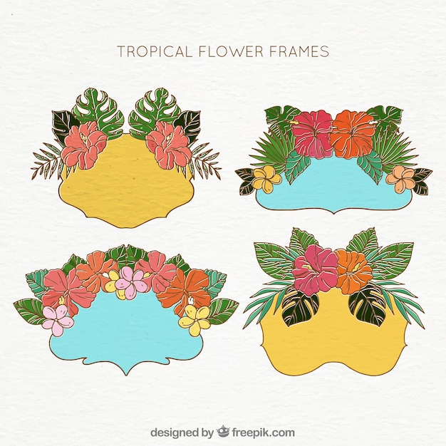 Free vector pack of ornamental frames with hand-drawn floral decoration