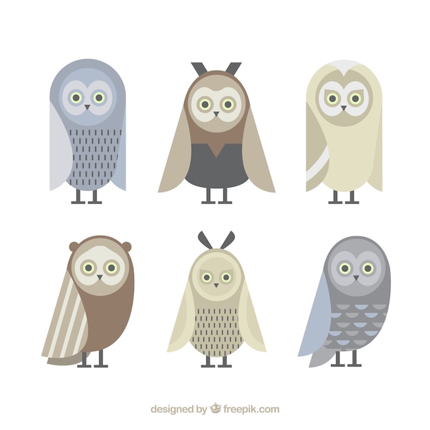 Free vector pack of owls in flat design and soft colors