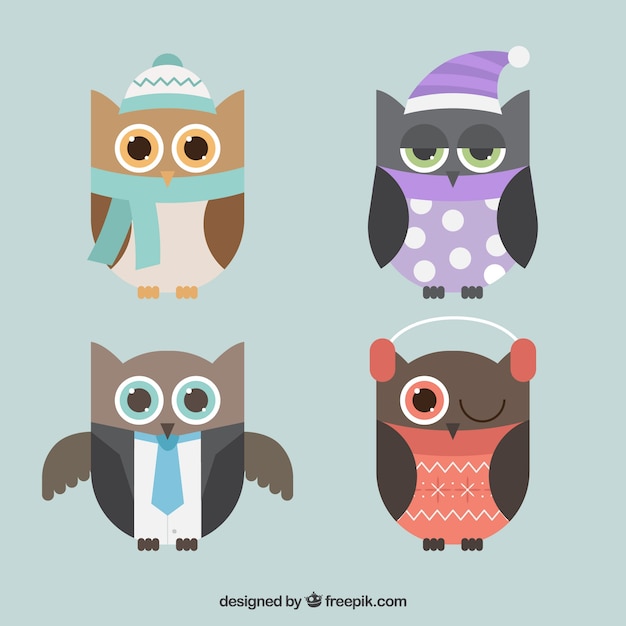 Free vector pack of owls in flat design