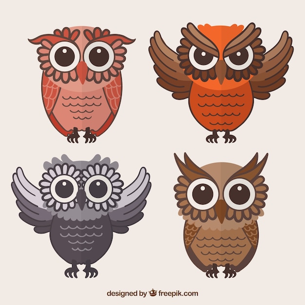 Free vector pack of owls in flat design