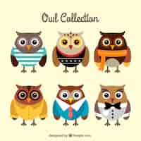 Free vector pack of owls with clothes in flat design