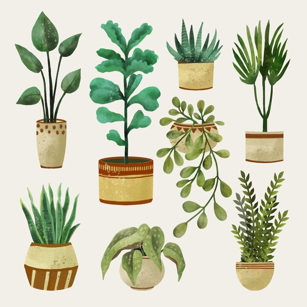 Pack of painted watercolor houseplants