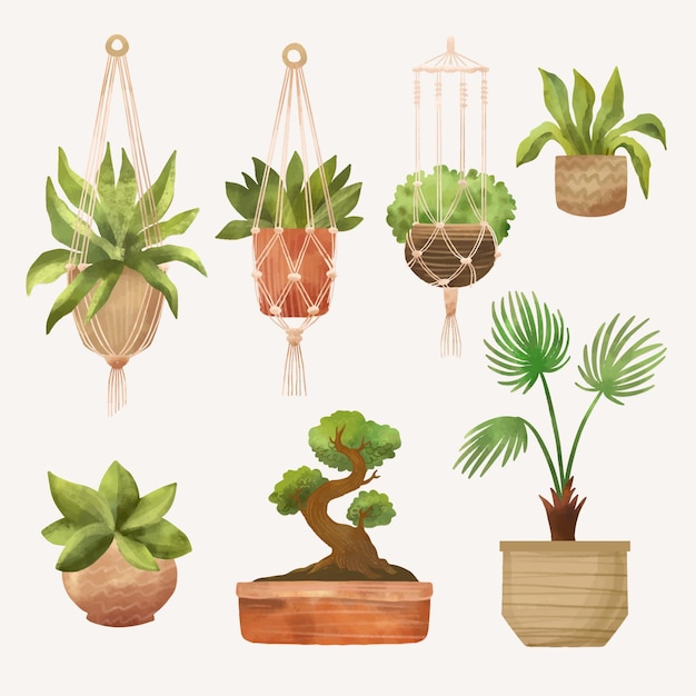 Free vector pack of painted watercolor houseplants