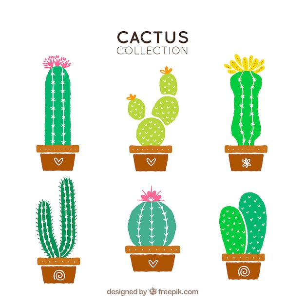 Free vector pack of pots with hand drawn cactus