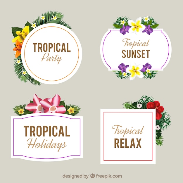 Pack of retro stickers with tropical flowers