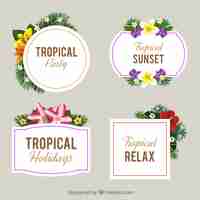 Free vector pack of retro stickers with tropical flowers