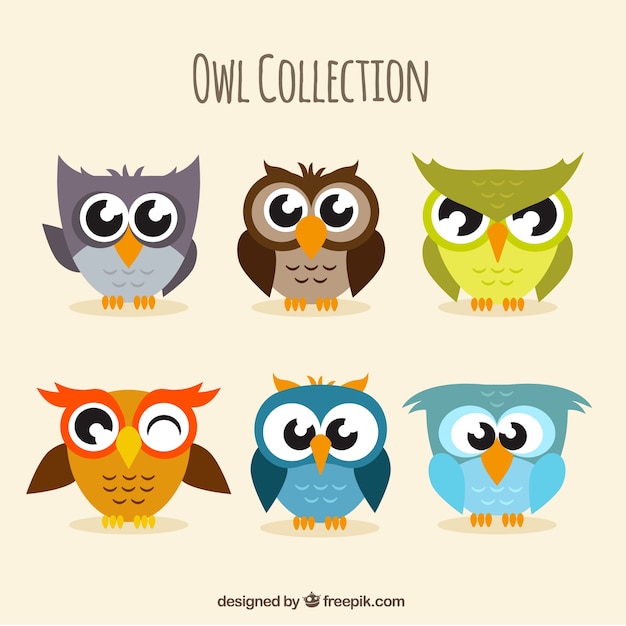 Free vector pack of six funny owls in flat design