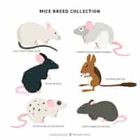 Free vector pack of six mice breeds