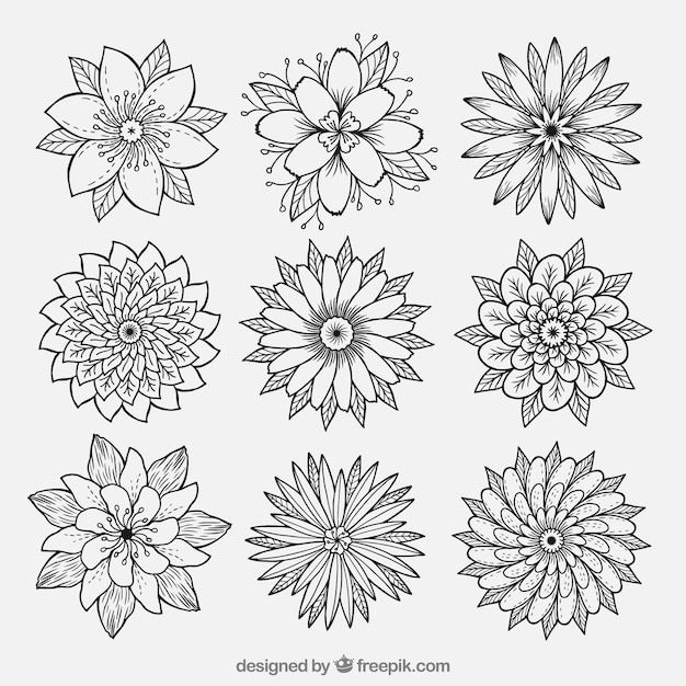 Page 13  Daisy Doodles Images - Free Download on Freepik