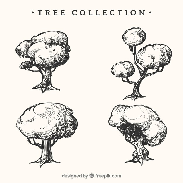 Pack of trees in hand drawn style