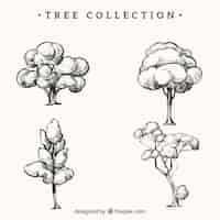 Free vector pack of trees in hand drawn style