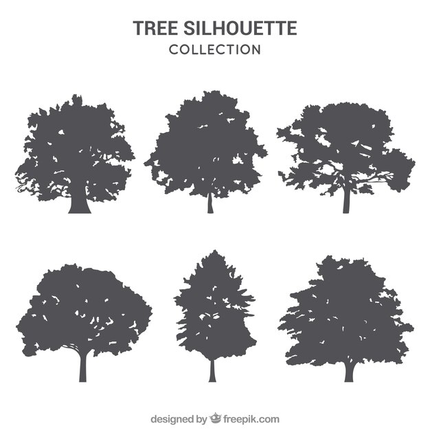 Pack of trees with silhouette