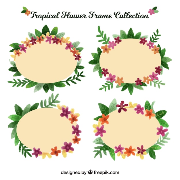 Pack tropical flower frames