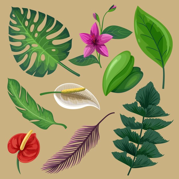 Pack of tropical flowers and leaves