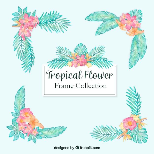 Pack of tropical watercolor flowers