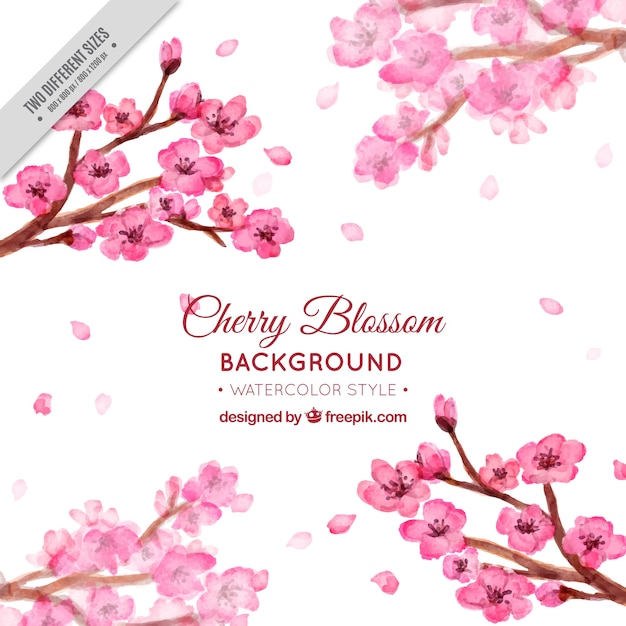 Pack of watercolor cherry blossoms